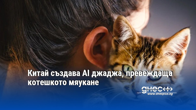 Китай създава AI джаджа, превеждаща котешкото мяукане