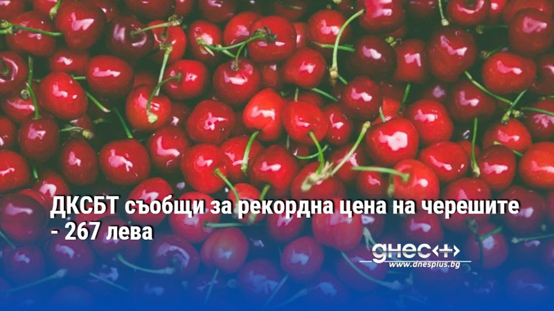 ДКСБТ съобщи за рекордна цена на черешите - 267 лева