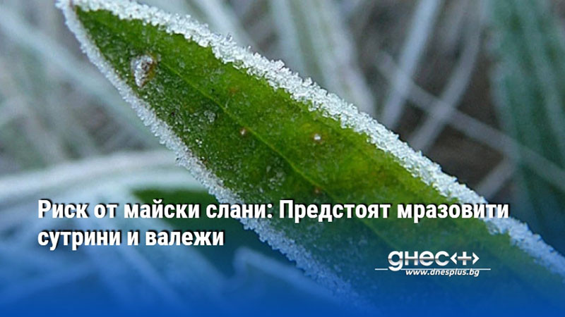 Риск от майски слани: Предстоят мразовити сутрини и валежи