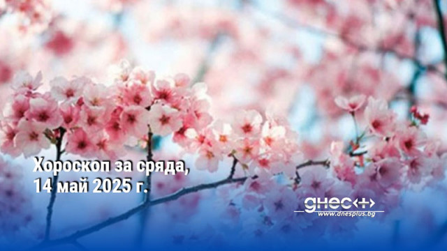 Хороскоп за сряда, 14 май 2025 г.
