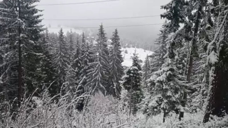 Майски сняг заваля в Родопите