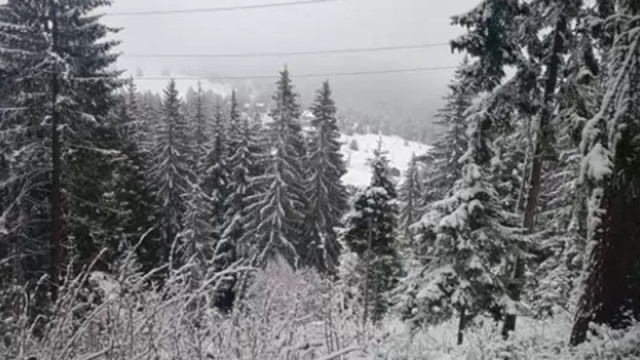 Майски сняг заваля в Родопите