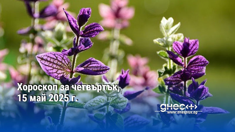 Хороскоп за четвъртък, 15 май 2025 г.