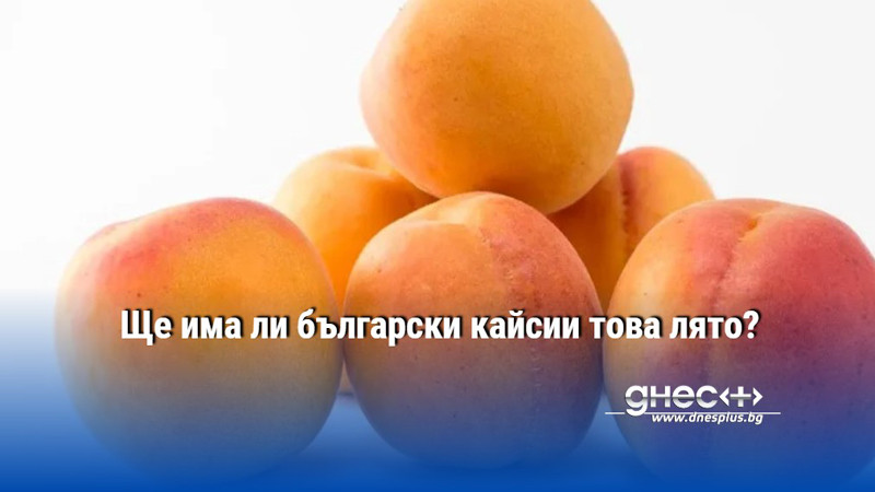Ще има ли български кайсии това лято?
