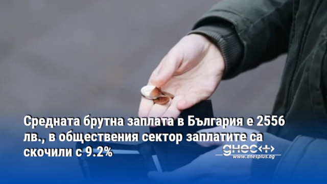 Средната брутна заплата в България е 2556 лв., в обществения сектор заплатите са скочили с 9.2%