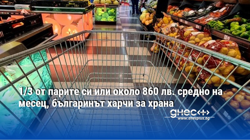 1/3 от парите си или около 860 лв. средно, българинът харчи за храна