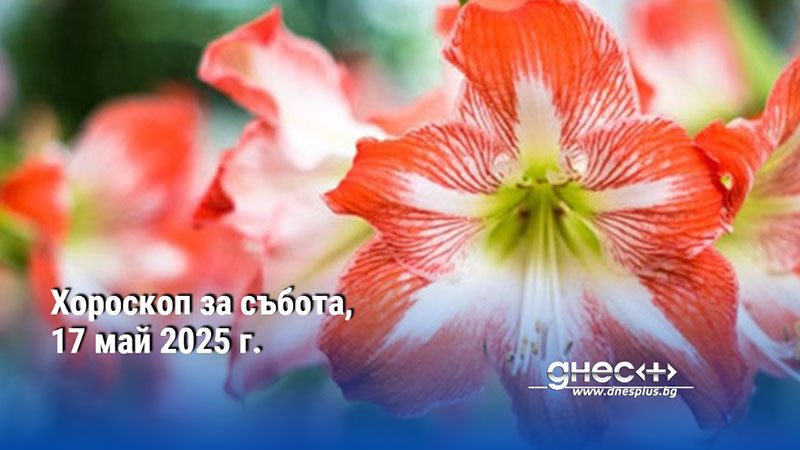 Хороскоп за събота, 17 май 2025 г.