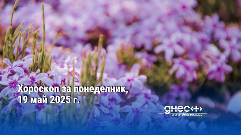 Хороскоп за понеделник, 19 май 2025 г.