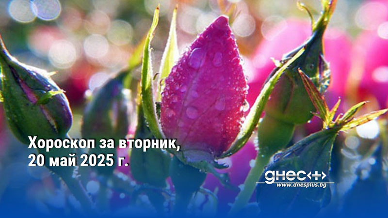 Хороскоп за вторник, 20 май 2025 г.