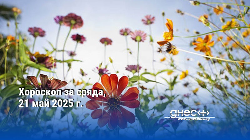 Хороскоп за сряда, 21 май 2025 г.