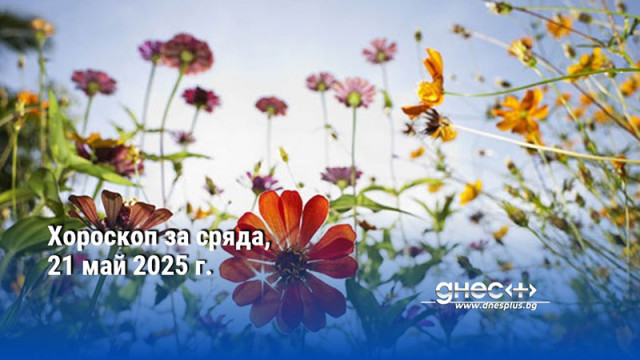 Хороскоп за сряда, 21 май 2025 г.