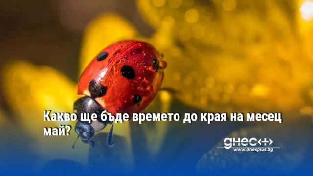 Какво ще бъде времето до края на месец май?