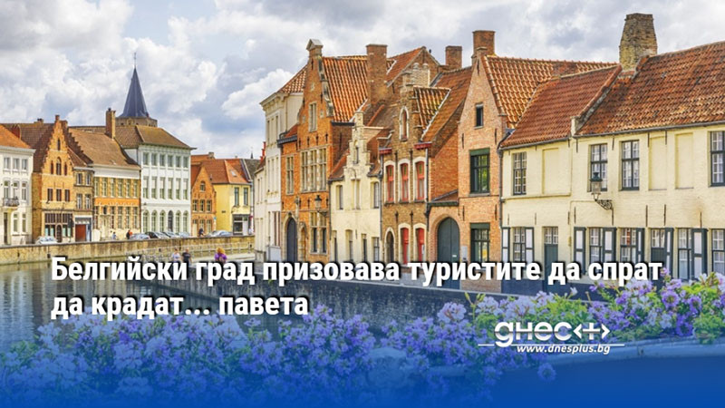 Белгийски град призовава туристите да спрат да крадат... павета