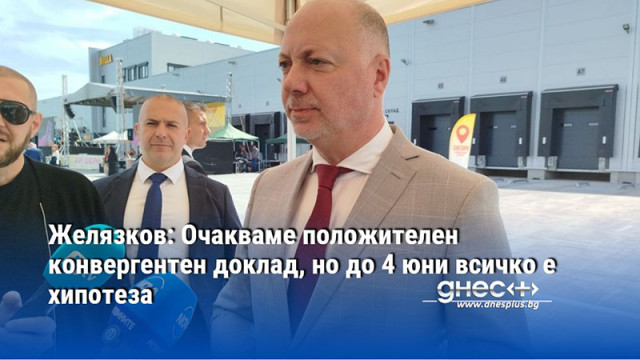 Желязков: Очакваме положителен конвергентен доклад, но до 4 юни всичко е хипотеза
