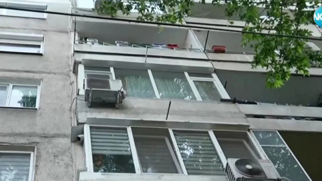 Псувни, побоища и рушене на етажна собственост: Системен тормоз от съседи в Пловдив