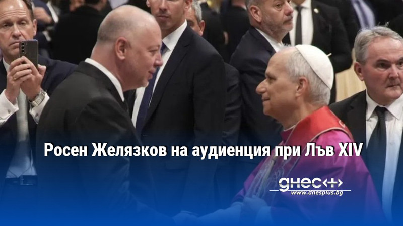 Росен Желязков на аудиенция при Лъв XIV