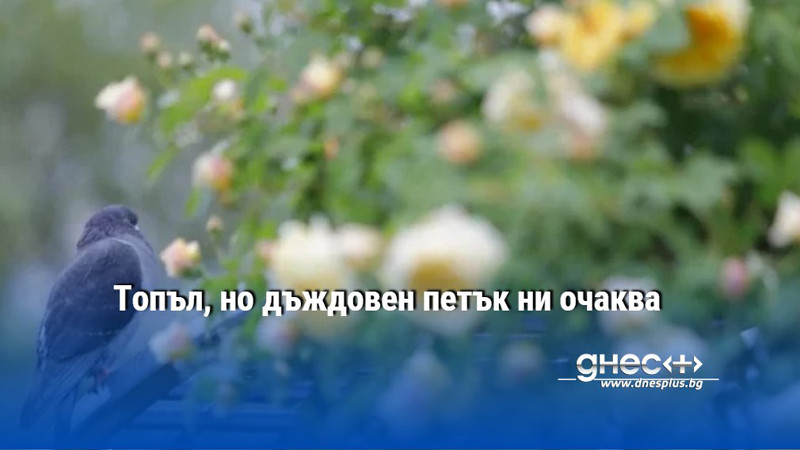 Топъл, но дъждовен петък ни очаква