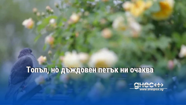 Топъл, но дъждовен петък ни очаква
