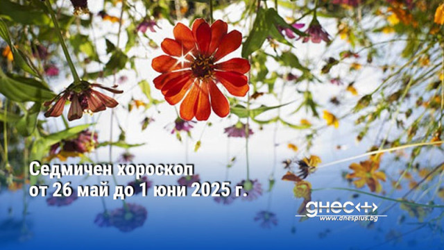 Седмичен хороскоп от 26 май до 1 юни 2025 г.