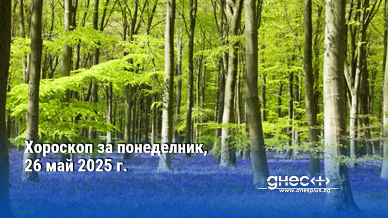 Хороскоп за понеделник, 26 май 2025 г.