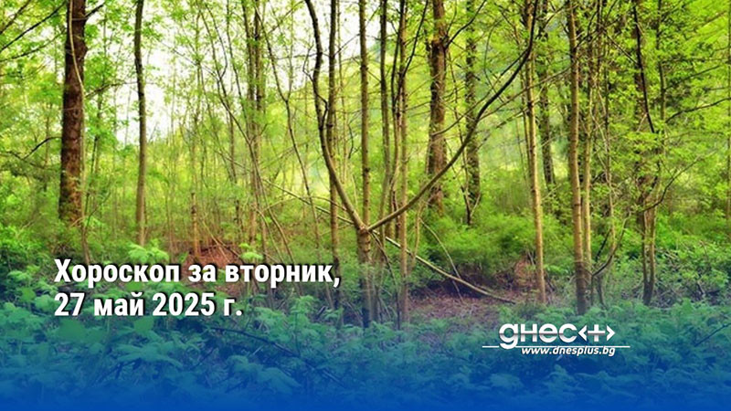 Хороскоп за вторник, 27 май 2025 г.