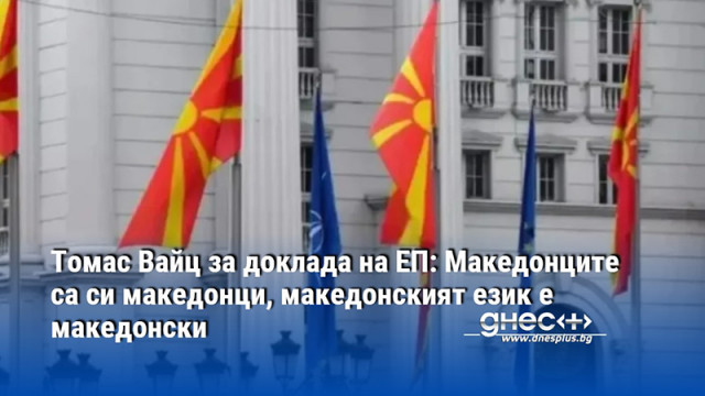 Томас Вайц за доклада на ЕП: Македонците са си македонци, македонският език е македонски