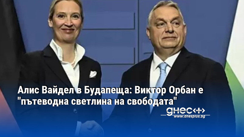 Алис Вайдел в Будапеща: Виктор Орбан е "пътеводна светлина на свободата"