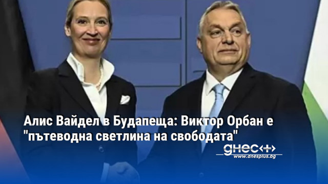 Алис Вайдел в Будапеща: Виктор Орбан е "пътеводна светлина на свободата"