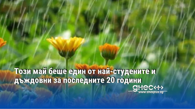 Този май беше един от най-студените и дъждовни за последните 20 години