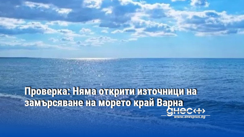 Проверка: Няма открити източници на замърсяване на морето край Варна