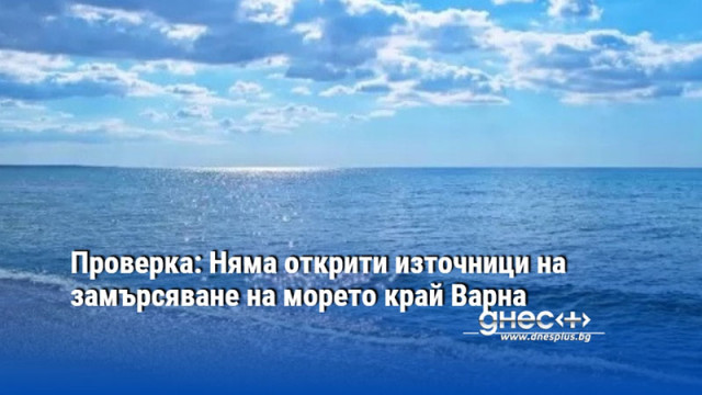 Проверка: Няма открити източници на замърсяване на морето край Варна