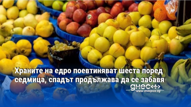 Храните на едро поевтиняват шеста поред седмица, спадът продължава да се забавя