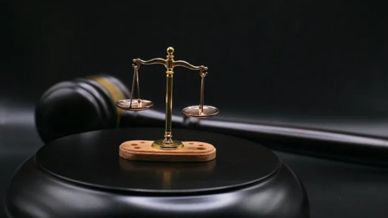 8 години затвор за Анка Михайлова от Пловдив за смъртта на малката Севда