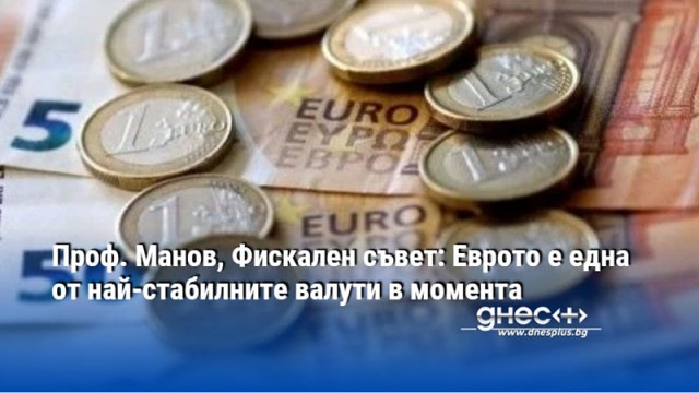 Проф. Манов, Фискален съвет: Еврото е една от най-стабилните валути в момента