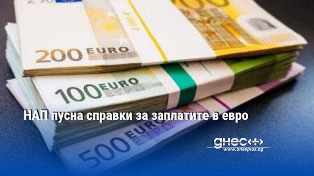 НАП пусна справки за заплатите в евро
