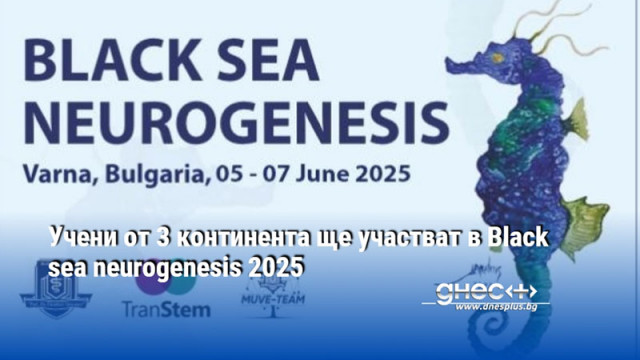 Учени от 3 континента ще участват в Black sea neurogenesis 2025