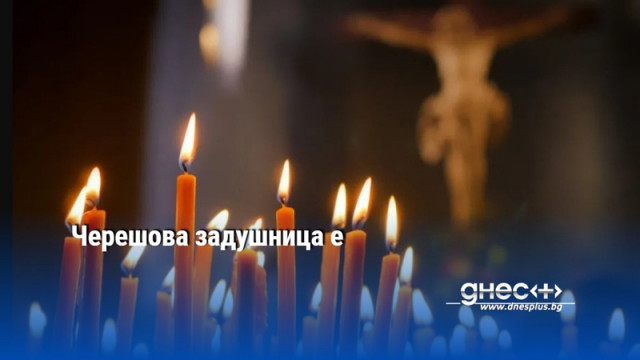 Черешова задушница е