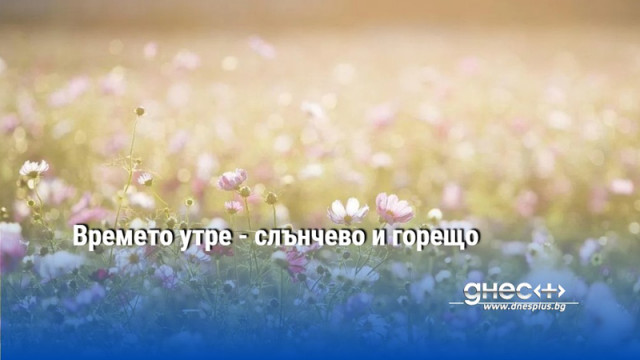 Времето утре - слънчево и горещо