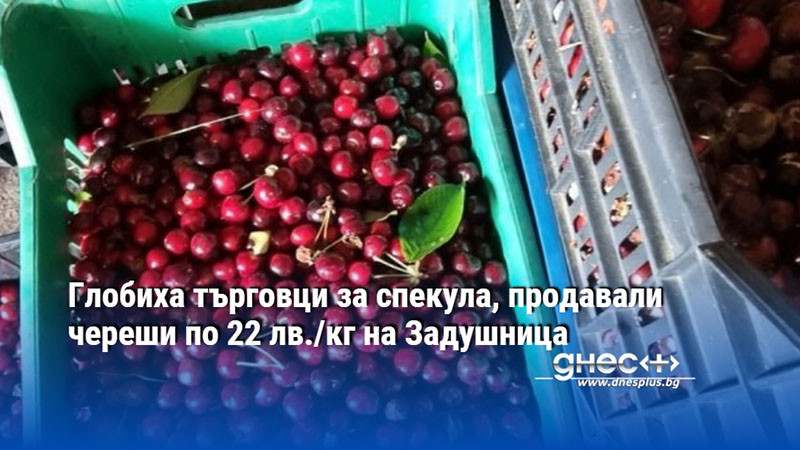 Глобиха търговци за спекула, продавали череши по 22 лв./кг на Задушница