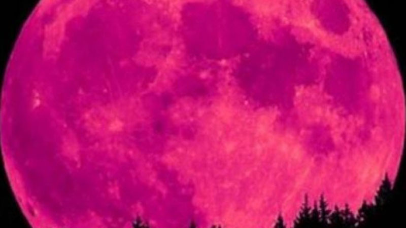 Ягодова Луна на 11 юни: Космически зов за четири зодиакални знака