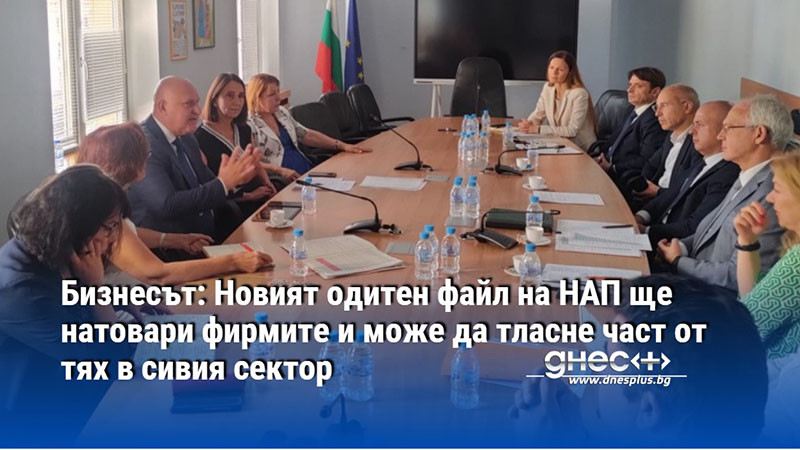 Бизнесът: Новият одитен файл на НАП ще натовари фирмите и може да тласне част от тях в сивия сектор