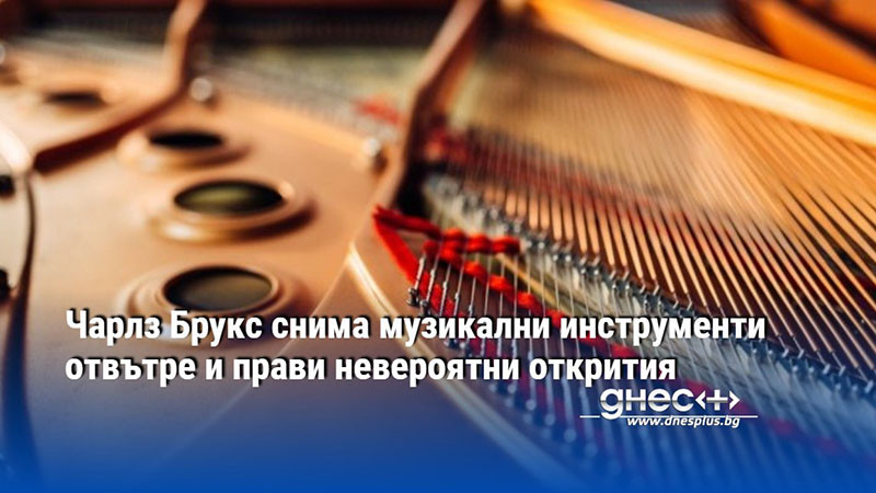 Чарлз Брукс снима музикални инструменти отвътре и прави невероятни открития
