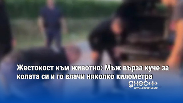 Жестокост към животно: Мъж върза куче за колата си и го влачи няколко километра