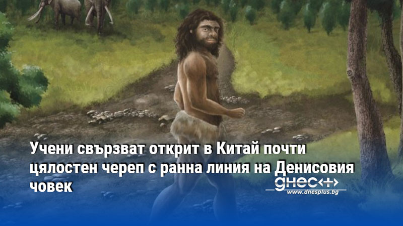 Учени свързват открит в Китай почти цялостен череп с ранна линия на Денисовия човек