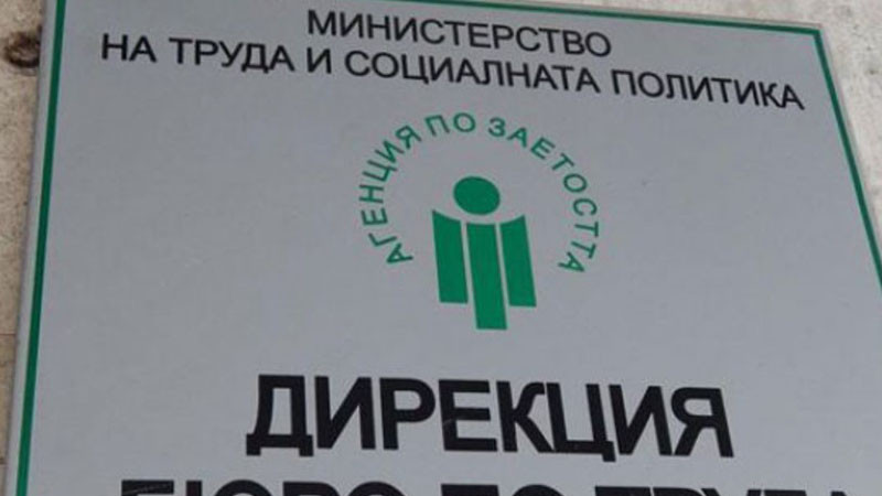 Агенцията по заетостта дава възможност за постоянна работа на 10 000 младежи