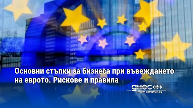 Основни стъпки за бизнеса при въвеждането на еврото. Рискове и правила
