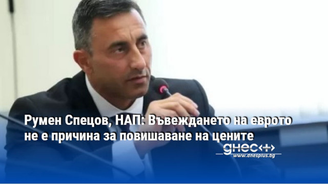 Румен Спецов, НАП: Въвеждането на еврото не е причина за повишаване на цените