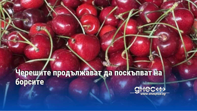 Черешите продължават да поскъпват на борсите