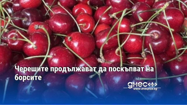 Черешите продължават да поскъпват на борсите