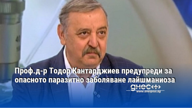 Проф.д-р Тодор Кантарджиев предупреди за опасното паразитно заболяване лайшманиоза